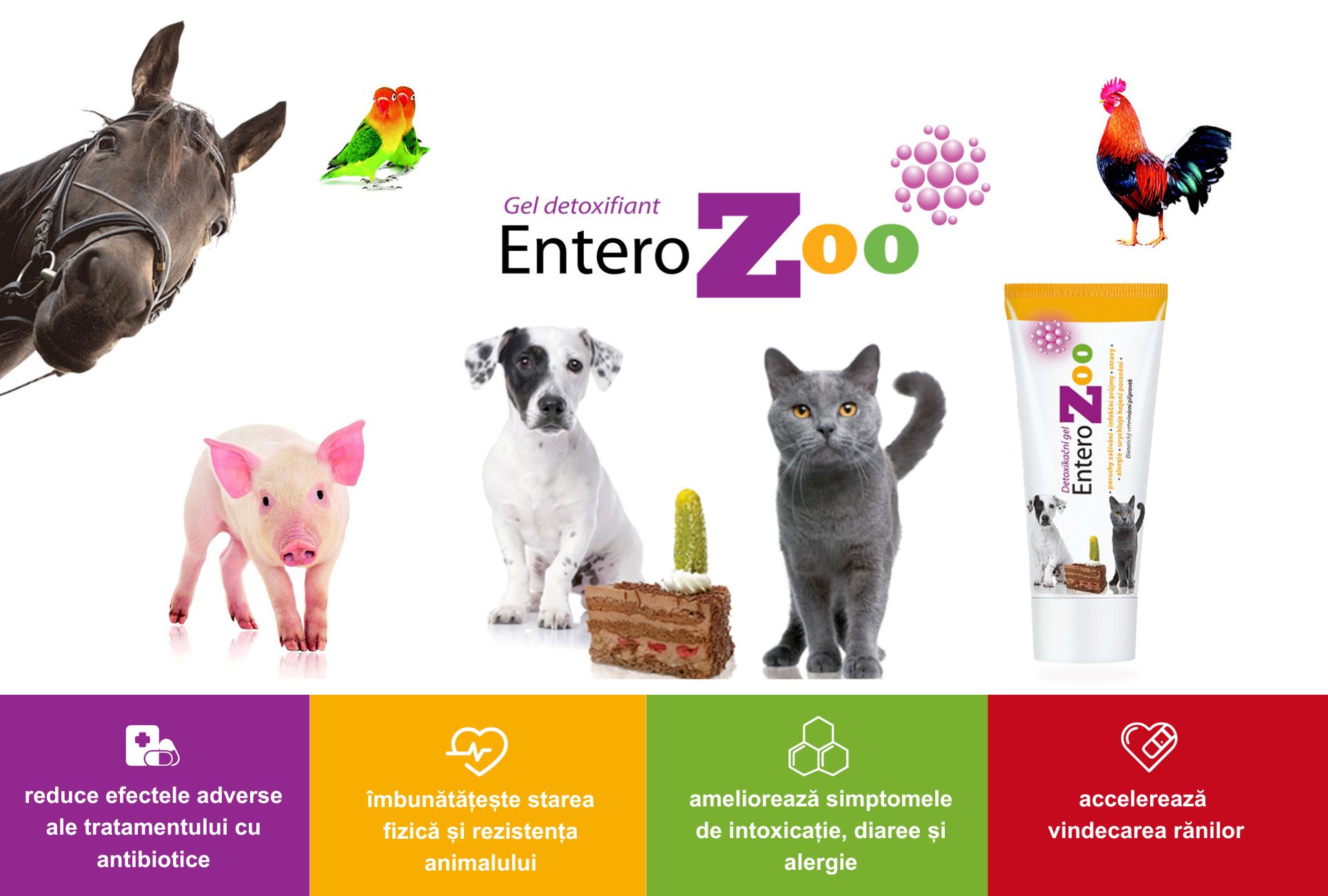 EnteroZoo PetExpo 2023